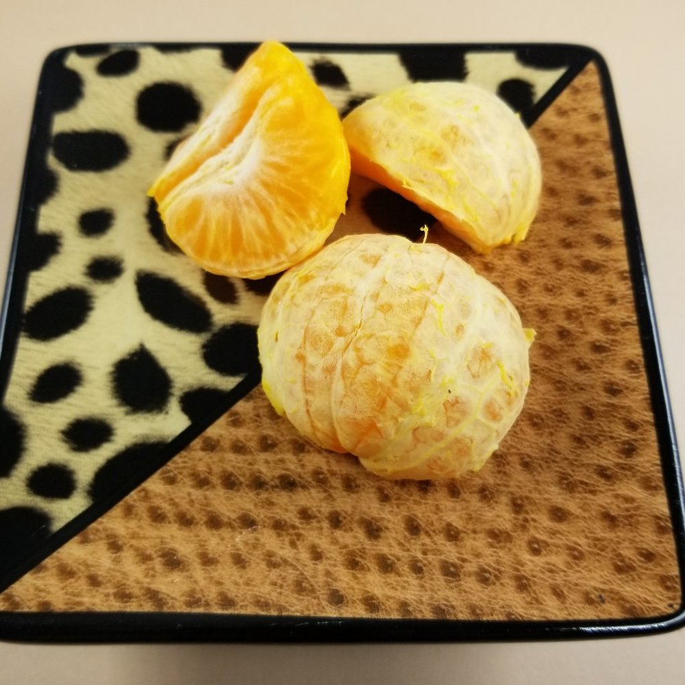 Brown Leopard Print, Glazed Ceramic Trinket, Soap, or Candle Dish - Picture 2 of 5